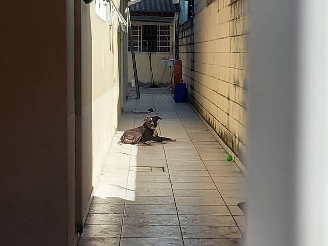 #LO1660 - Casa para Locação em São José dos Campos - SP - 3