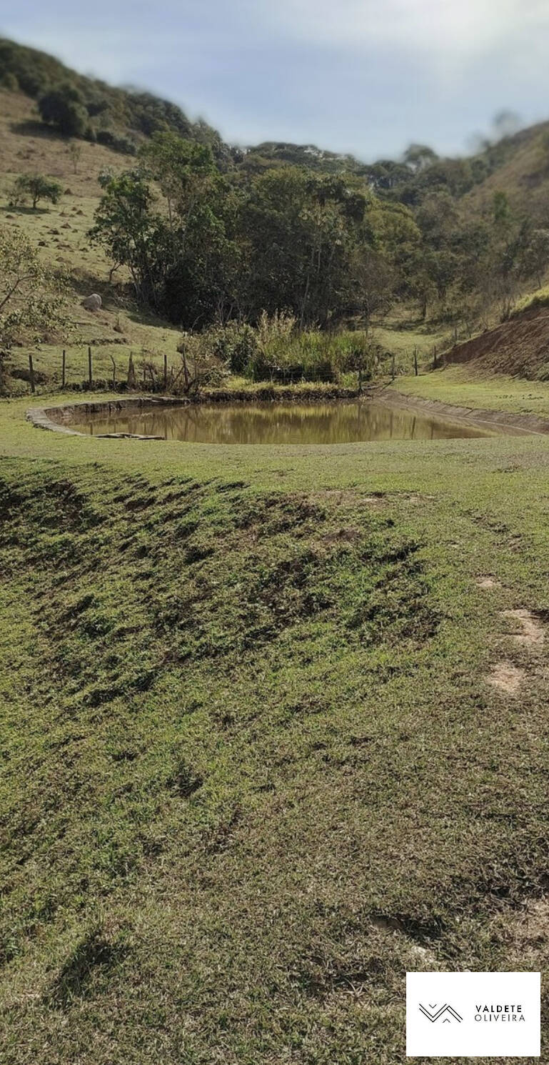 Fazenda à venda com 2 quartos, 18700m² - Foto 8