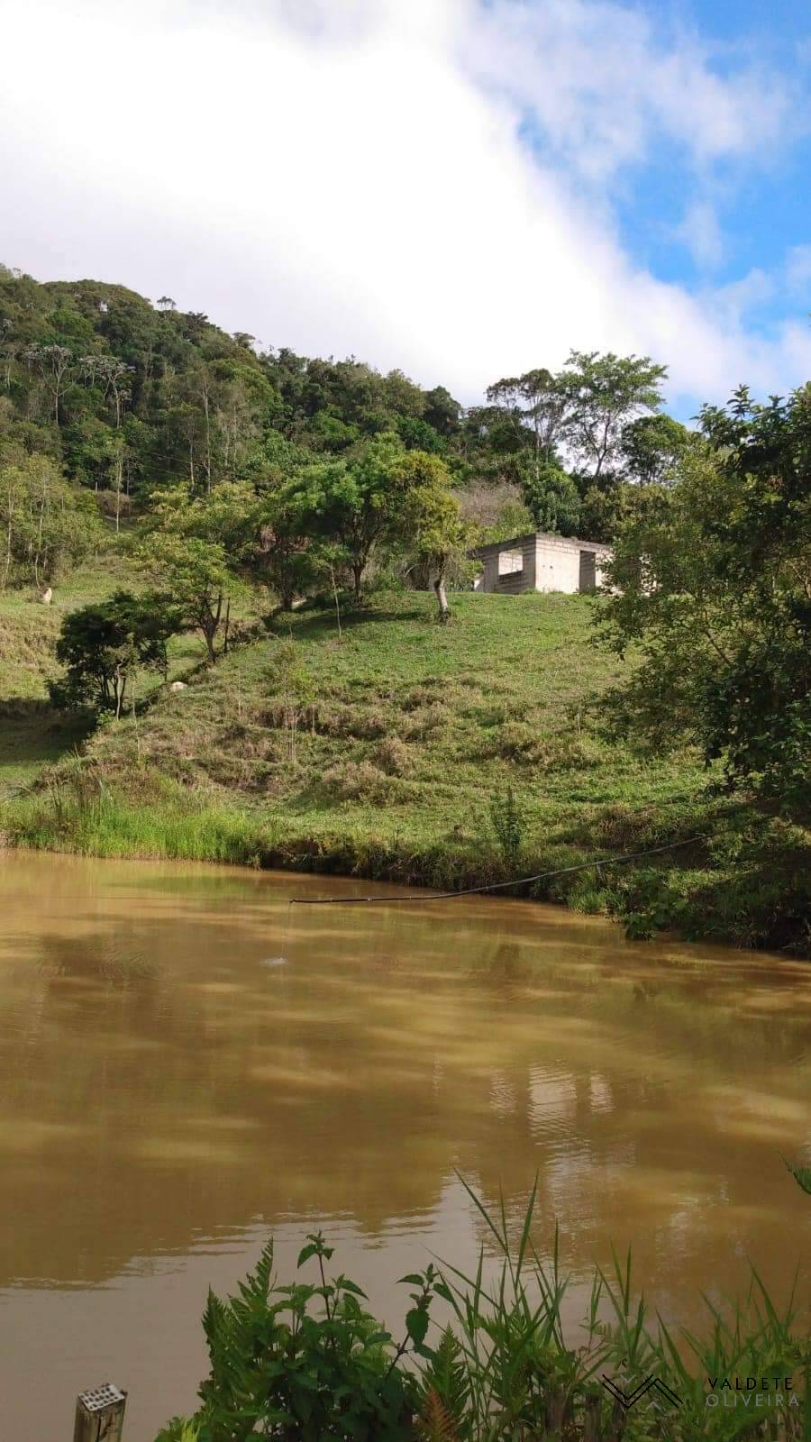 Fazenda à venda com 3 quartos, 14000m² - Foto 3