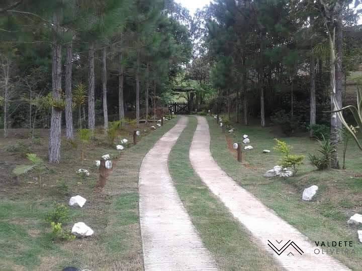 Fazenda à venda com 3 quartos, 14000m² - Foto 10