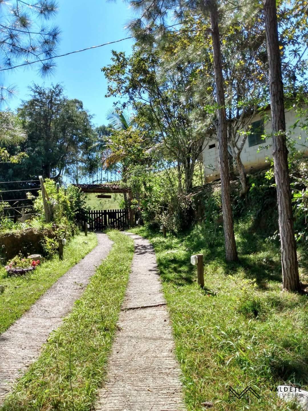 Fazenda à venda com 3 quartos, 14000m² - Foto 13