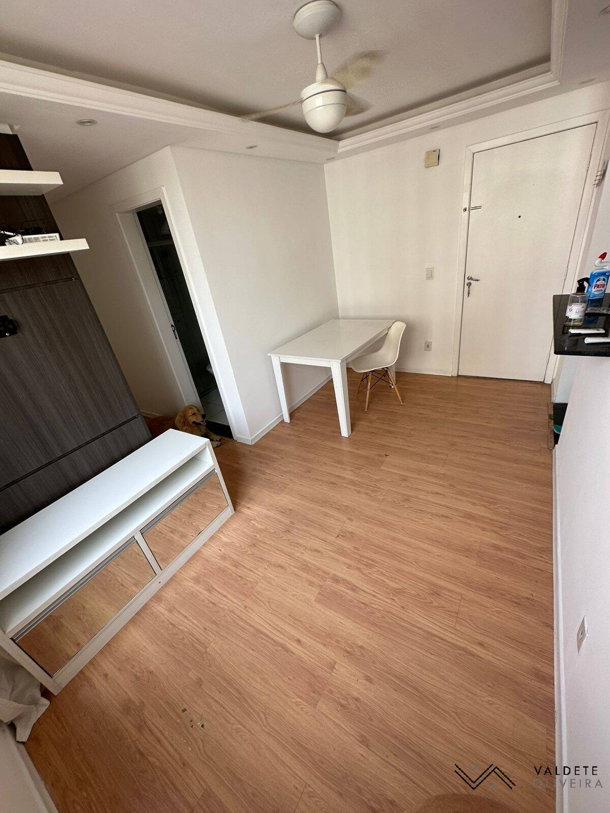 Apartamento à venda com 2 quartos, 48m² - Foto 4